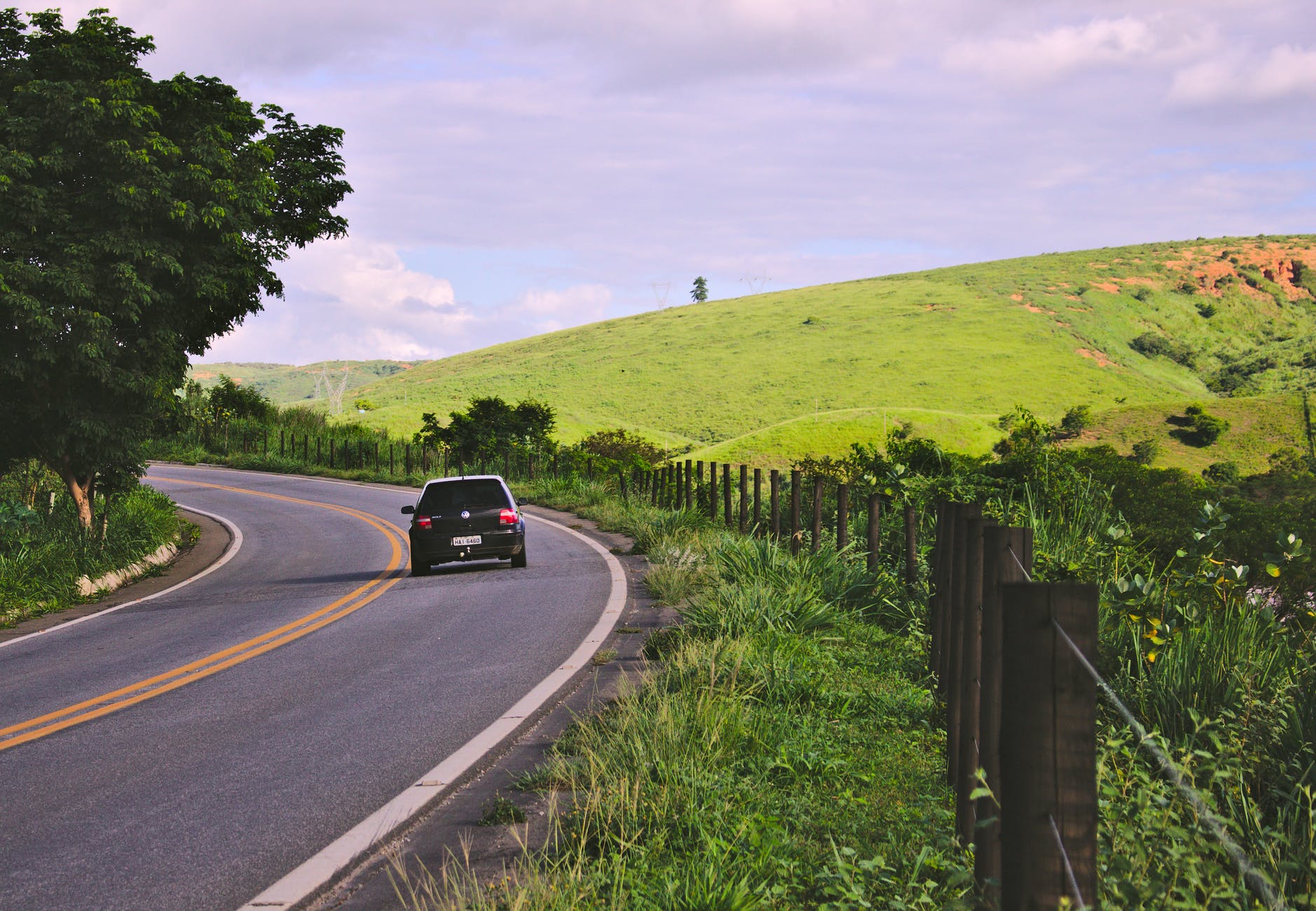 black vehicle on road near green leaf plants