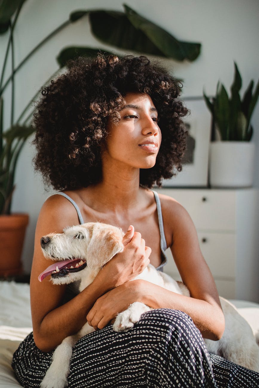 dreamy ethnic woman with dog on bed at home. smart money bro.