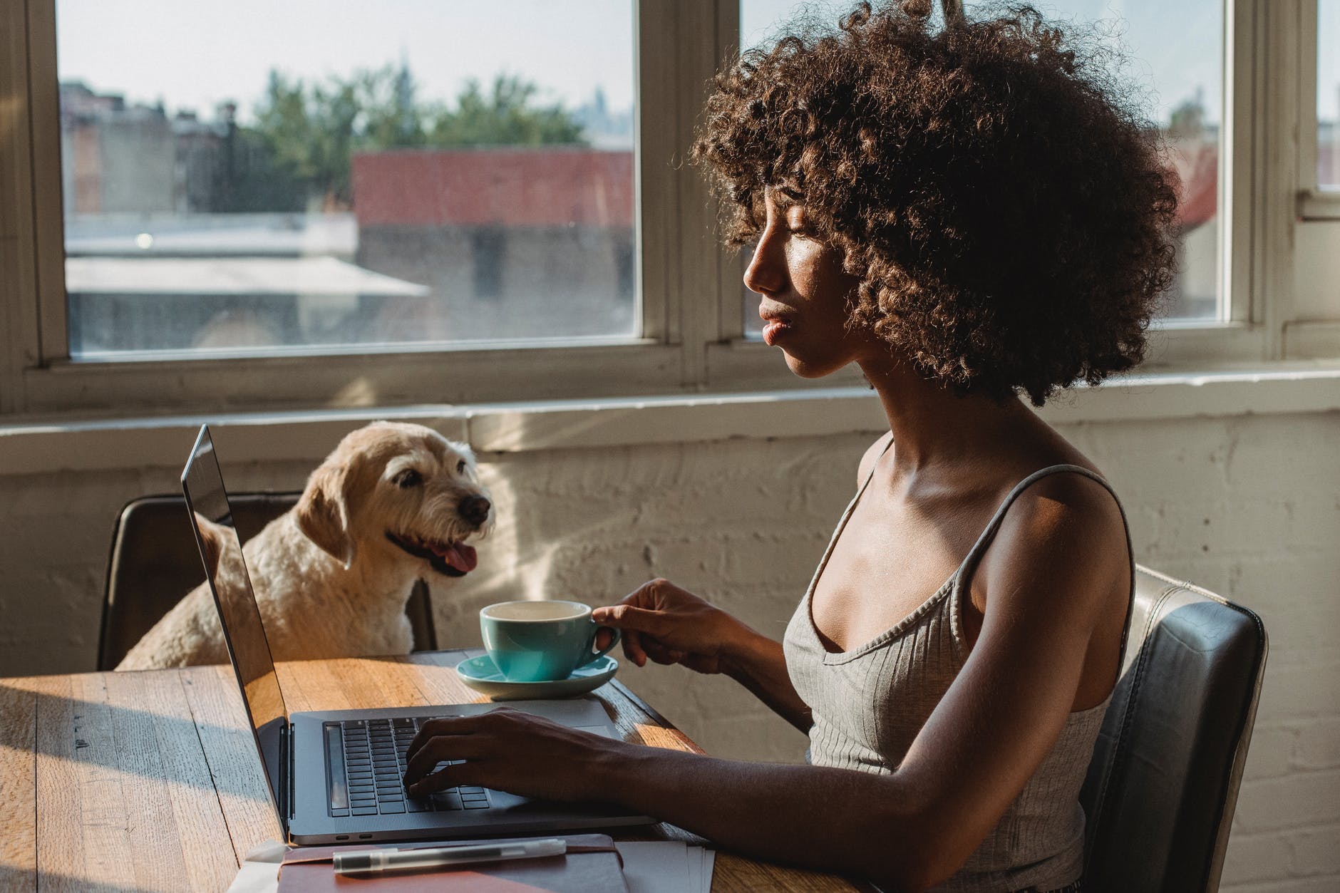 attentive ethnic freelancer with coffee typing on laptop near dog smart money bro